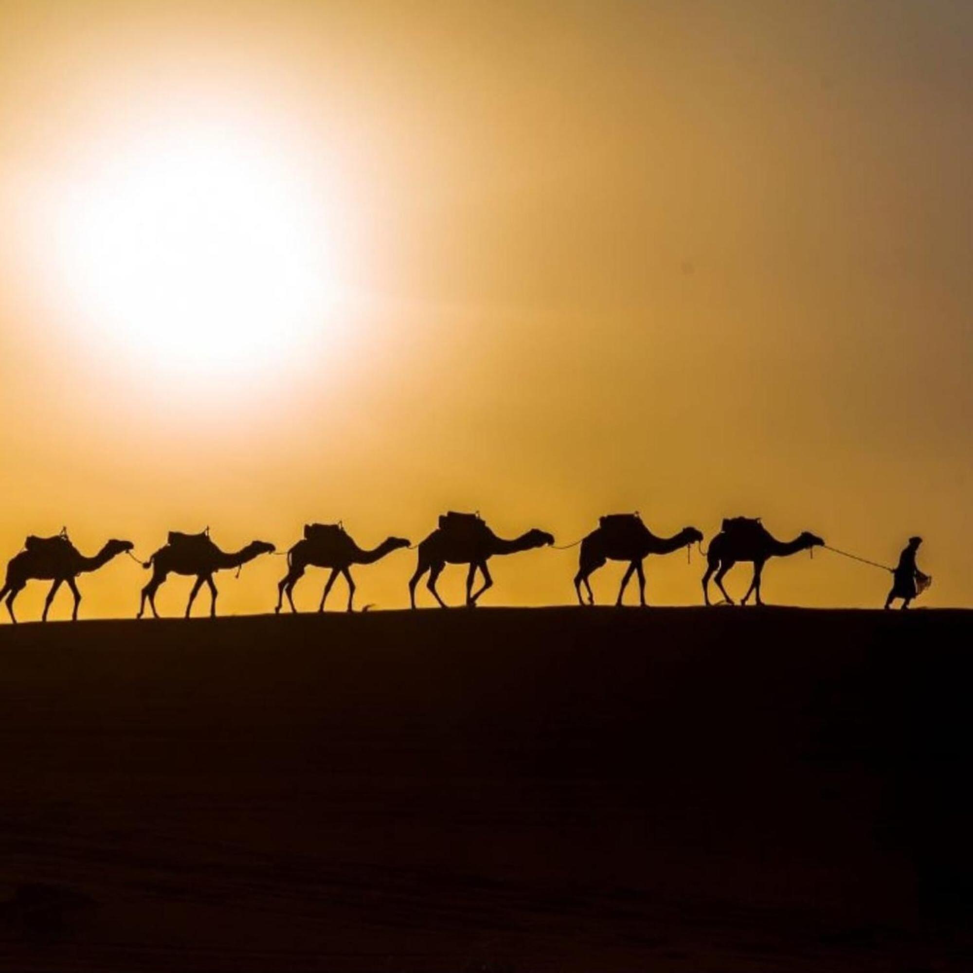 Unique Sahara Camp Hotel Merzouga Luaran gambar